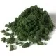 Dark Green Foliage Clumps G6463