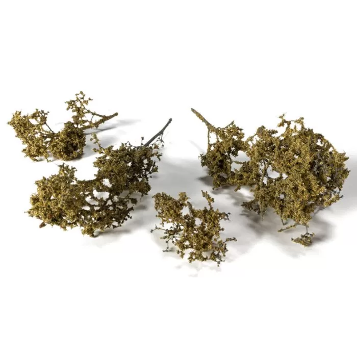 Brambles  Autumn G6480