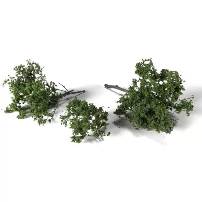 Brambles Spring G6481