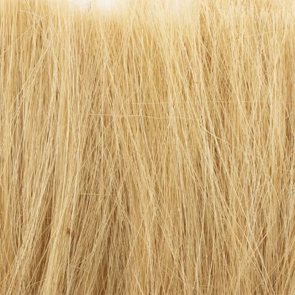Tall Grass Gold G6507