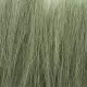 Tall Grass Green G6508