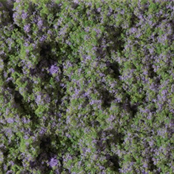 Clump Foliage Lilac Flower