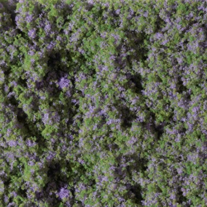 Clump Foliage Lilac Flower