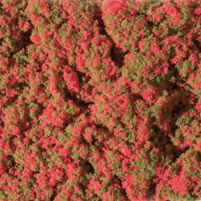 Clump Foliage Red Flower