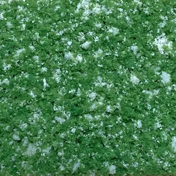 Clump Foliage White Flower