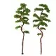 Pine Trees 200mm tall