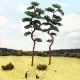 Pine Trees 200mm tall