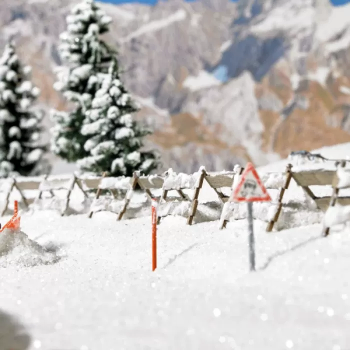 Snow Fences and Snow Poles