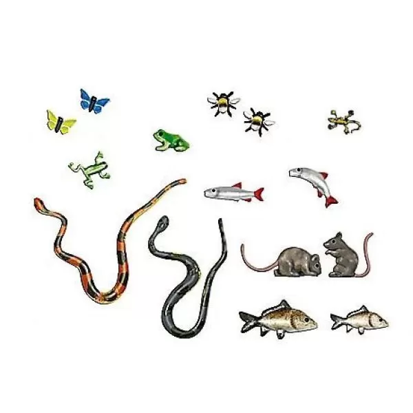 Small Animals Fish and Insects OO