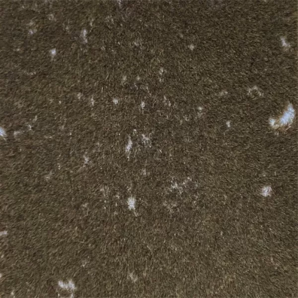 Rough Terrain Natural looking Static Grass Mat Late Summer