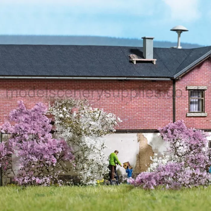 Shrub Bushes Delicate Flowering Purple Busch 3587