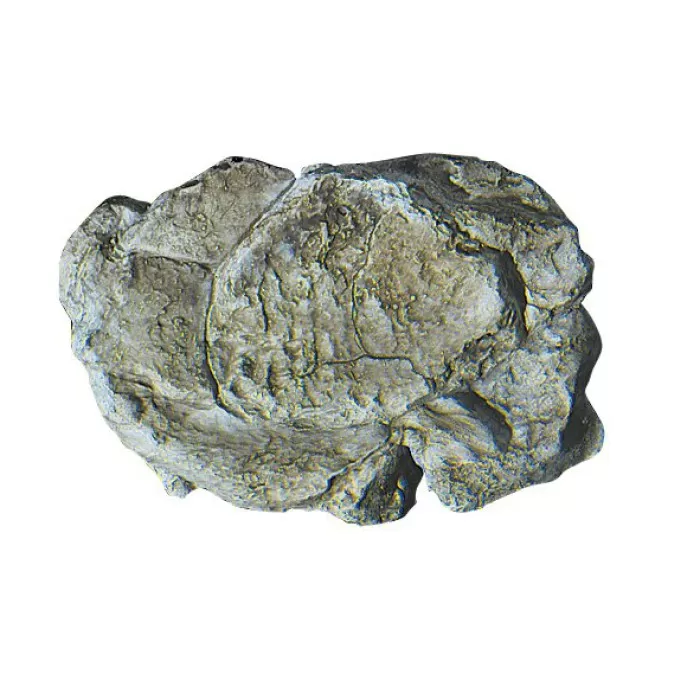 Rock Mould Wind C1237