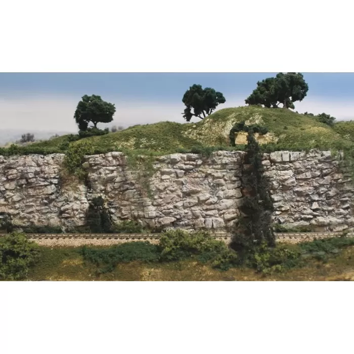 Rock Mould Face C1248