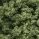 Woodland Scenics Clump-Foliage Light Green FC182 and FC682