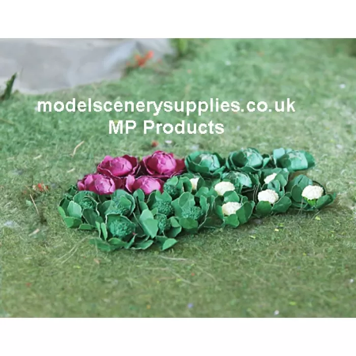 Broccolis, Cauliflower, Cabbage, Lettuce Mixed Pack O gauge and larger