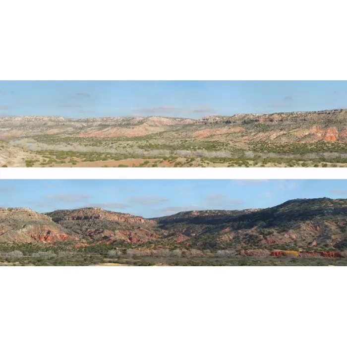 Backscene Desert pack 225B OO 15inch tall