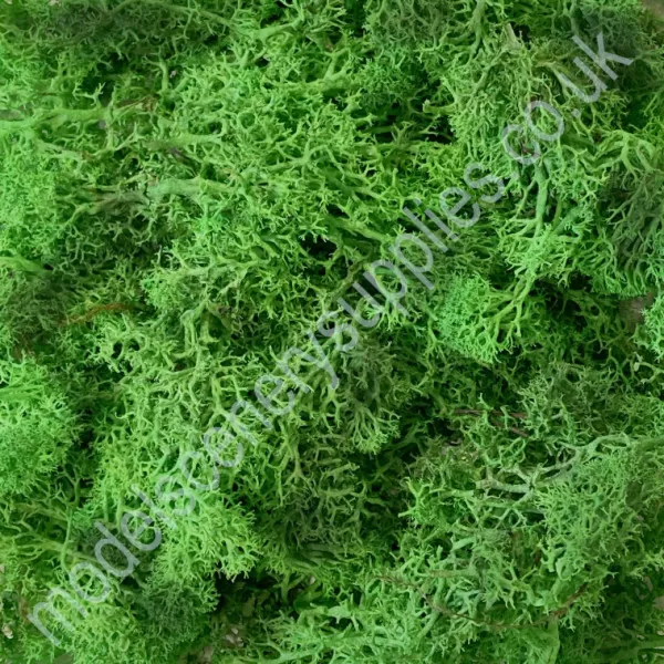 Lichen Green Blend Bulk Pack 250g