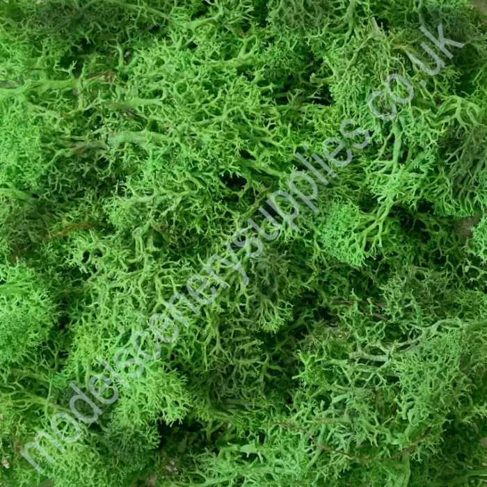 Lichen Green Blend Bulk Pack 250g