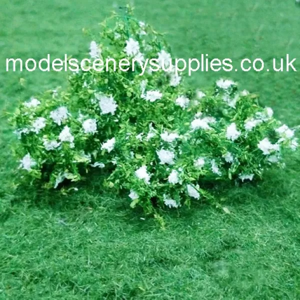 Elderflower Shrubs N Gauge