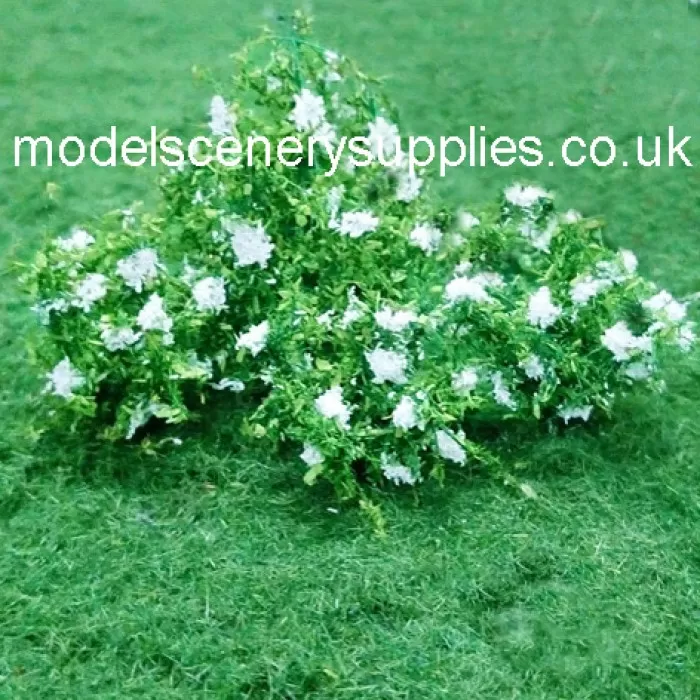 Elderflower Shrubs N Gauge