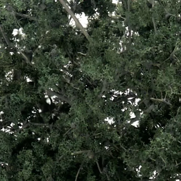 Fine-Leaf Foliage™ Dark Green F1130