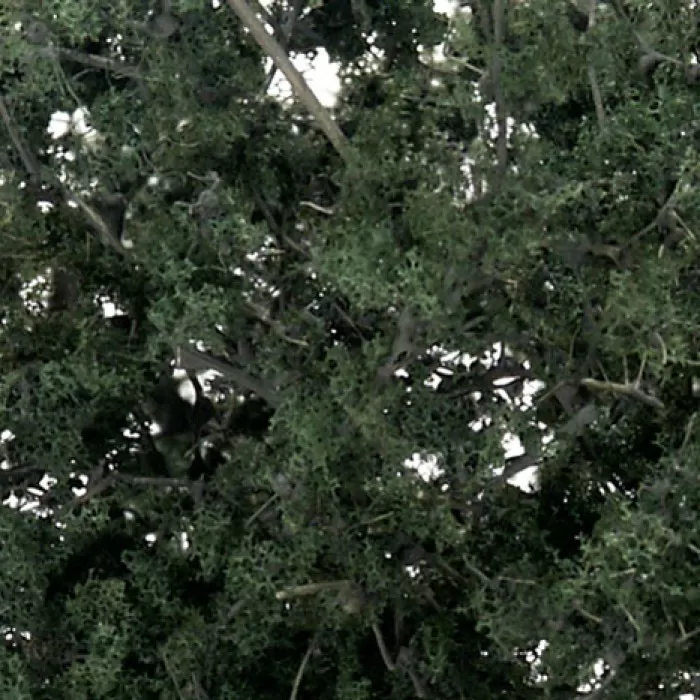 Fine-Leaf Foliage™ Dark Green F1130