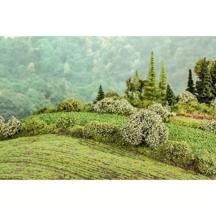 Spring Crop Field OO