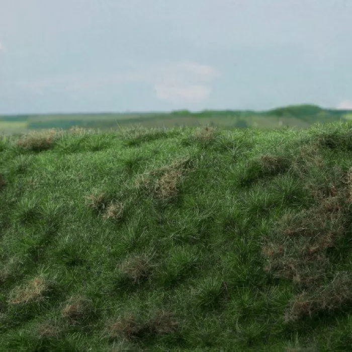 Landscape Mat Grass Fallow Field, Early Summer Model Scene F522