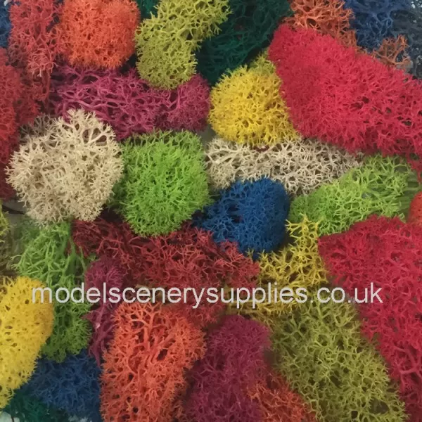 Flower garden lichen Mixed colours