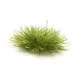Medium Green Grass Tufts FS771