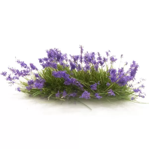 Violet Flowering Tufts FS772