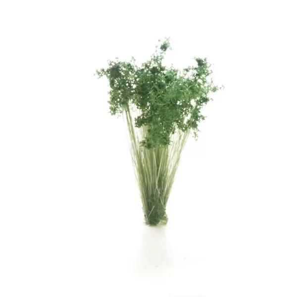 Dark Green Prairie Grass FS778