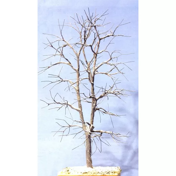 Wire Tree Armatures  Multi-Trunk 180mm tall