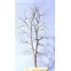 Wire Tree Armatures  Multi-Trunk 180mm tall