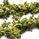 Realistic Gorse Bush Hedgerow Strips  FP025