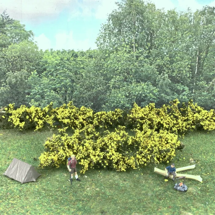 Realistic Gorse Bush Hedgerow Strips  FP025