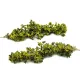 Realistic Gorse Bush Hedgerow Strips  FP025