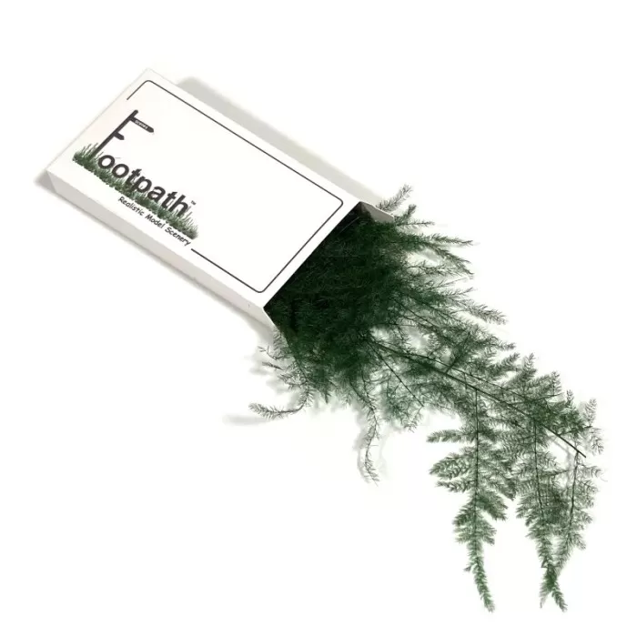 Fine Fern Bracken Foliage FP030