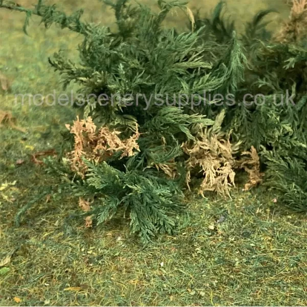 Fern Moss Real Scale Bracken Fern