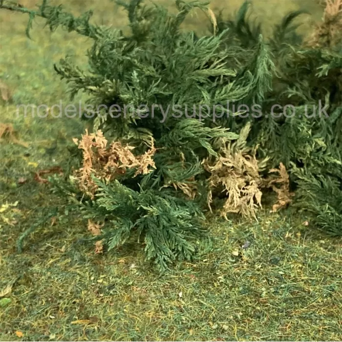 Fern Moss Real Scale Bracken Fern