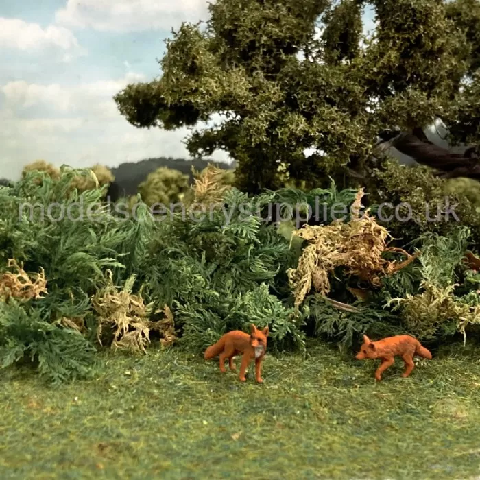 Fern Moss Real Scale Bracken Fern