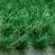 Summer Green Static Grass Tufts EXTRA LARGE