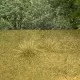 Autumn Static Grass Tufts EXTRA LARGE