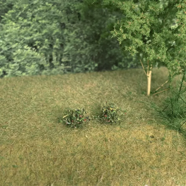 Meadow Flowering Grass Tufts 