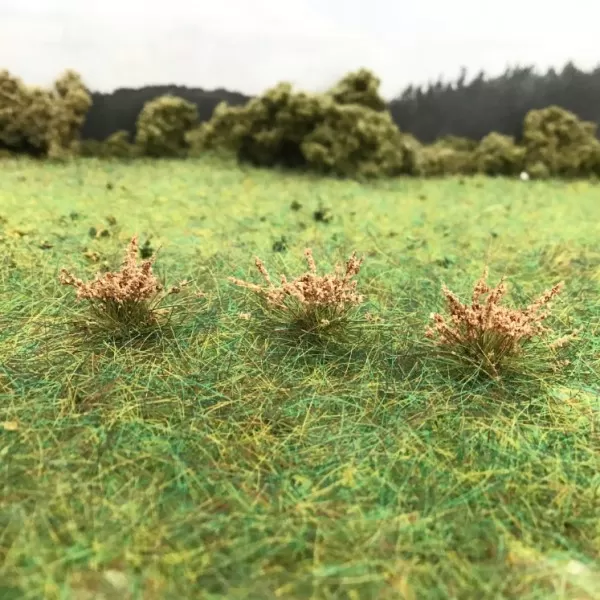 Static Grass Tufts Brown Seed Heads