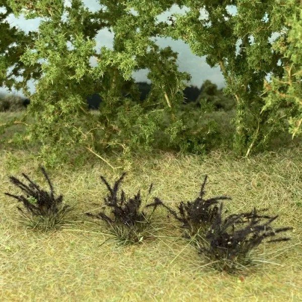 Static Grass Tufts Brown Seed Spikes