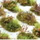 Wild Flower and Grass Tuft Clumps FP095
