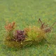 Wild Flower and Grass Tuft Clumps FP095