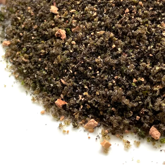 Realistic Woodland Ground Cover By Footpath Scenes