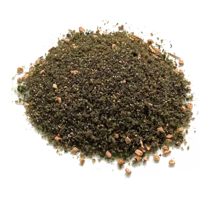 Realistic Woodland Ground Cover By Footpath Scenes